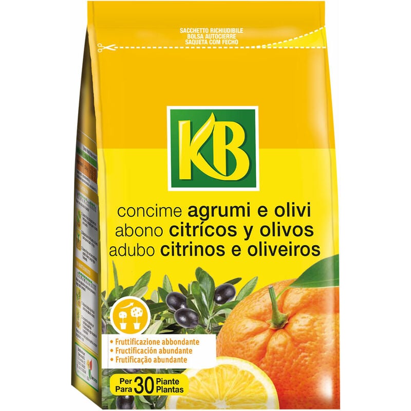 foto del prodotto concime granulare agrumi olivi gr. 800 df 6127310