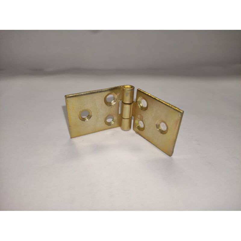foto del prodotto condy cerniere strette lunghe tropicalizzate 60x25mm