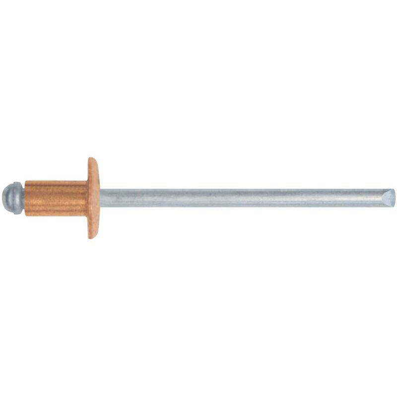 foto del prodotto conf. rivetti rame 4,0x09 da pz.100 10 cf