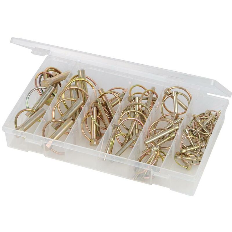 foto del prodotto confezione coppiglie con spinotto a scatto 50 p.zi