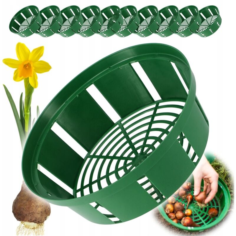 foto del prodotto confezione da 10 cestini per bulbi in plastica, 2 forme, fioritura primaverile, 18 cm, rotondi - kadax