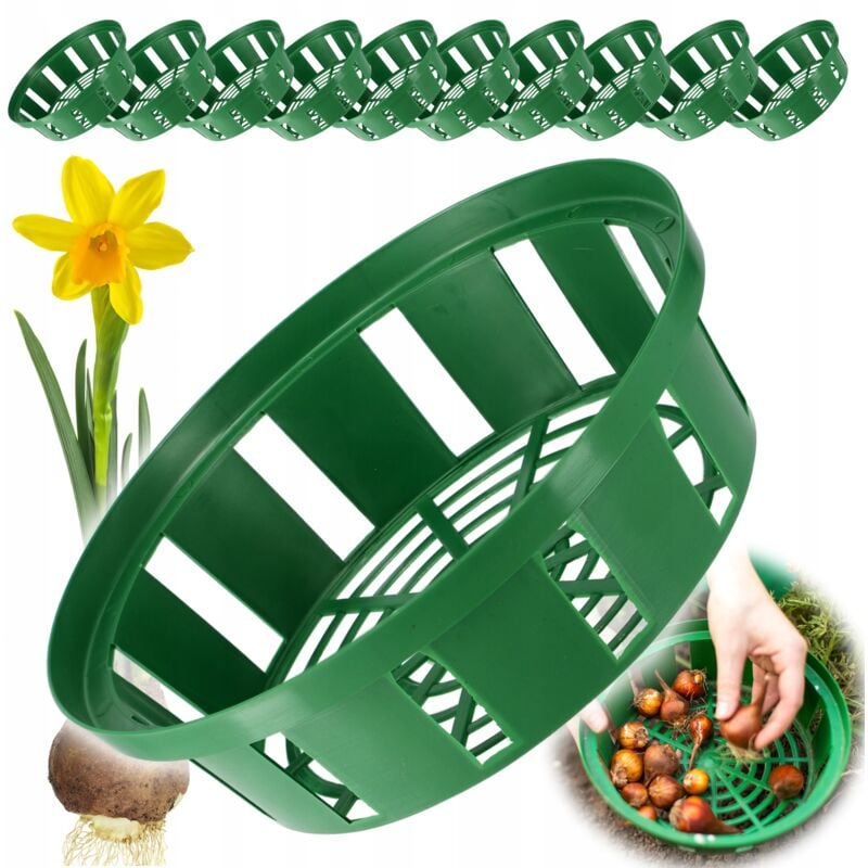 foto del prodotto confezione da 10 cestini per bulbi in plastica, 2 forme, per fioritura primaverile, 23 cm, rotondi - kadax