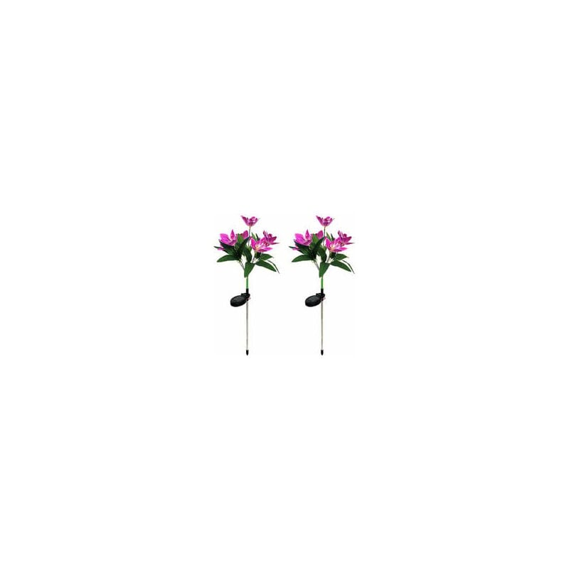 foto del prodotto confezione da 2 luci solari per orchidee, luci decorative per esterni, regalo di natale, altezza 70 cm