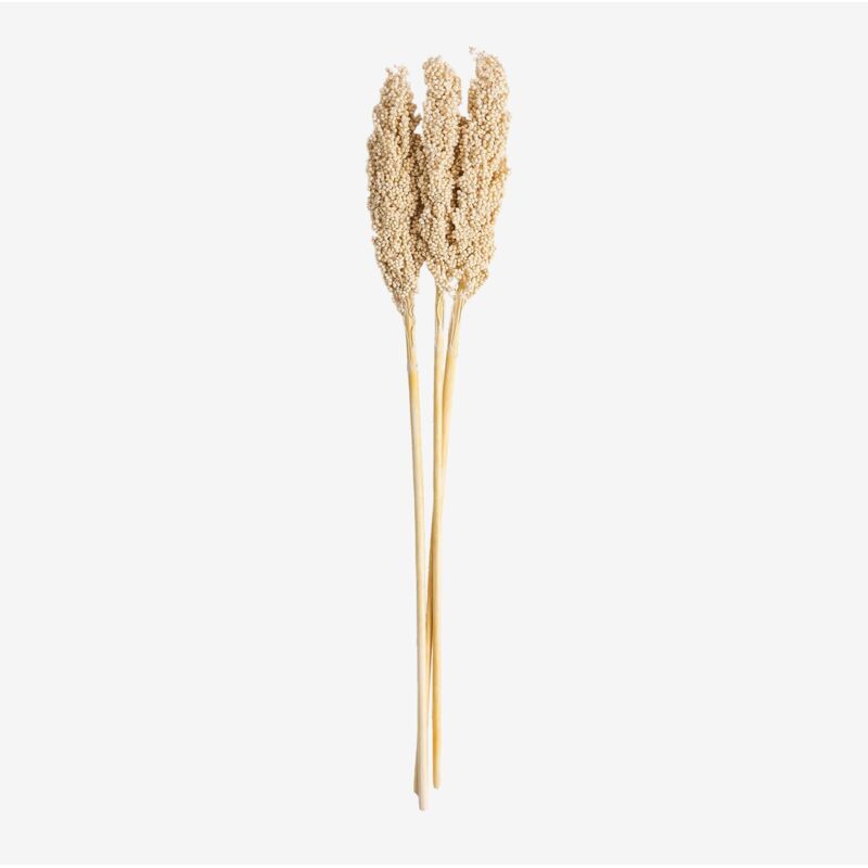 foto del prodotto confezione da 3 rami decorativi marbia sklum
