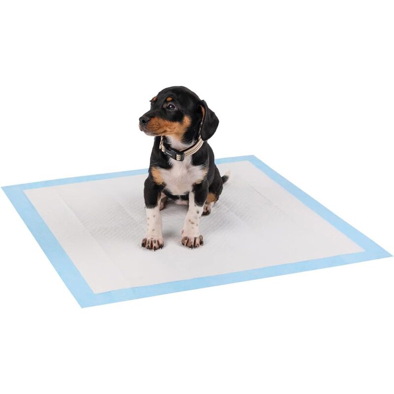 foto del prodotto confezione da 40 tappetini igienici per l addestramento dei cuccioli, anti perdita, 6 strati, 60 x 60 cm lablanc