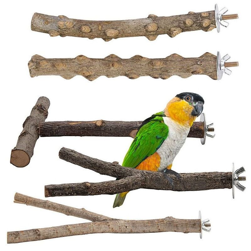 foto del prodotto confezione da 5 posatoi per uccelli in legno naturale, posatoi in legno naturale, accessori per uccelli, parrocchetti, giocattoli per uccelli,