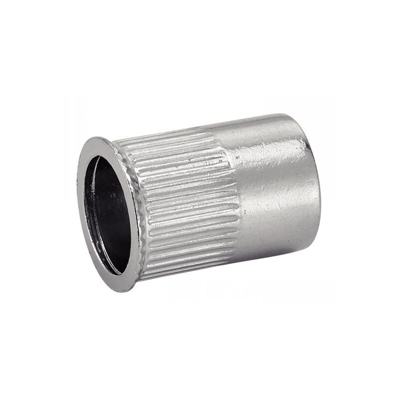 foto del prodotto confezione da 50 dadi acton a testa piatta in acciaio inox a2 6 mm 626336