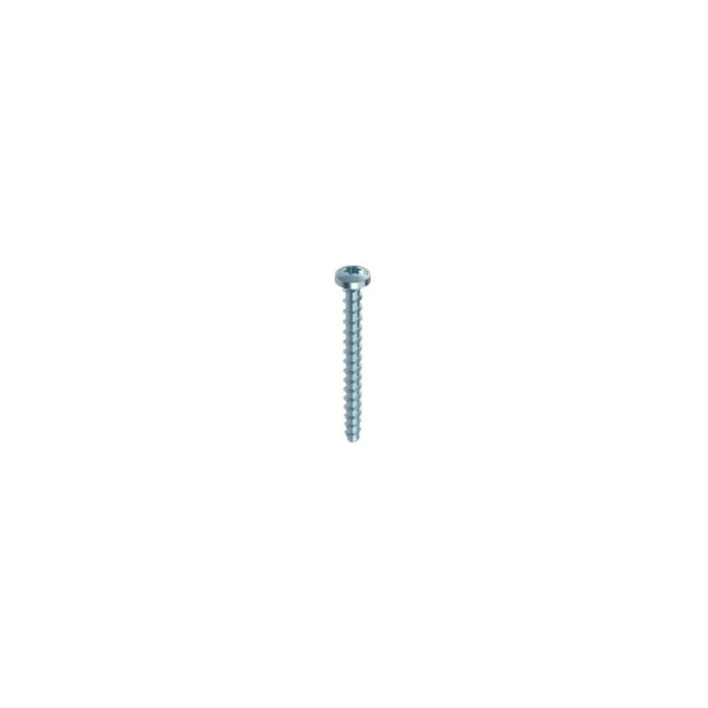 foto del prodotto confezione da 50 viti multi monti 7,5x60 mm heco schrauben testa tonda t30 zincato argento testa 14,5 42616