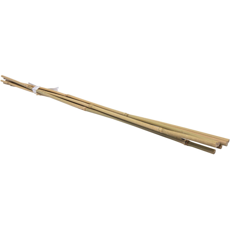 foto del prodotto confezione da 6 tutor in bamb werka pro h 150 cm 14 16 mm 
