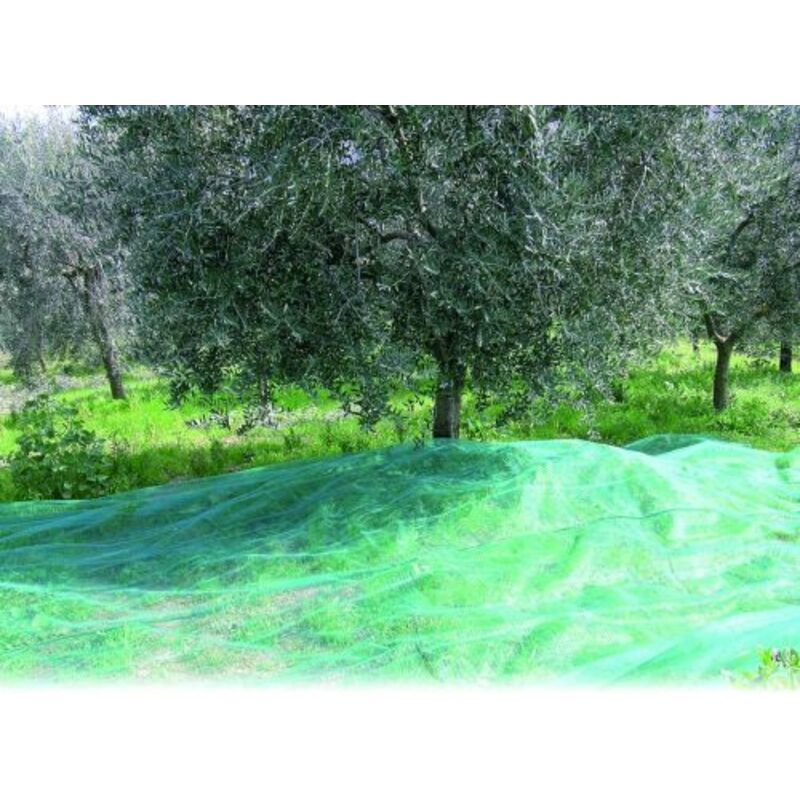 foto del prodotto confine rete per olive tipo calabrese gr mq 32 rotolo mt. 4x250