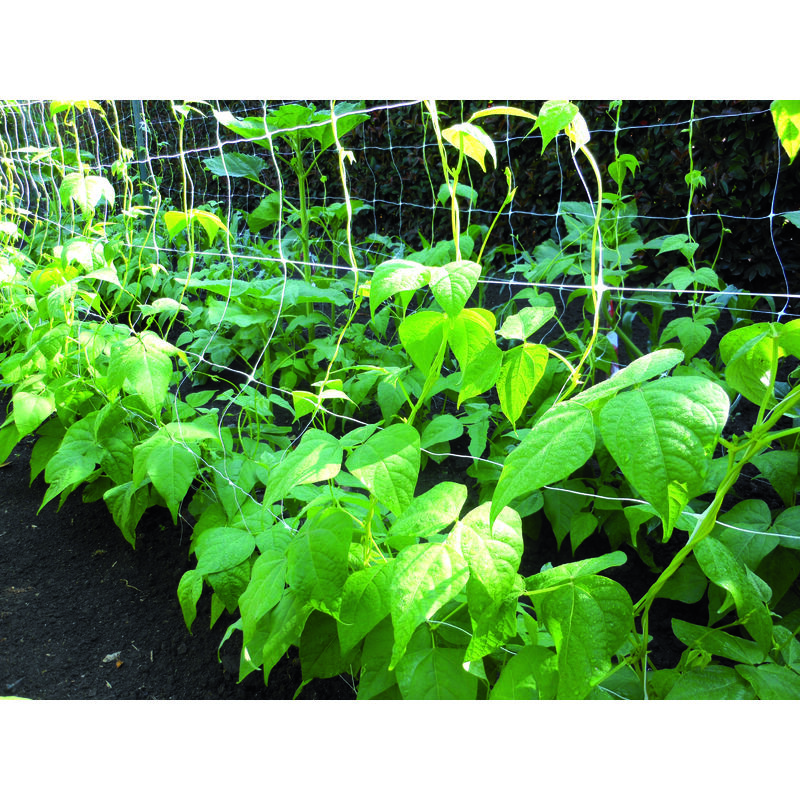 foto del prodotto confine rete per ortaggi bianca mt. 1,2x 50 - confine