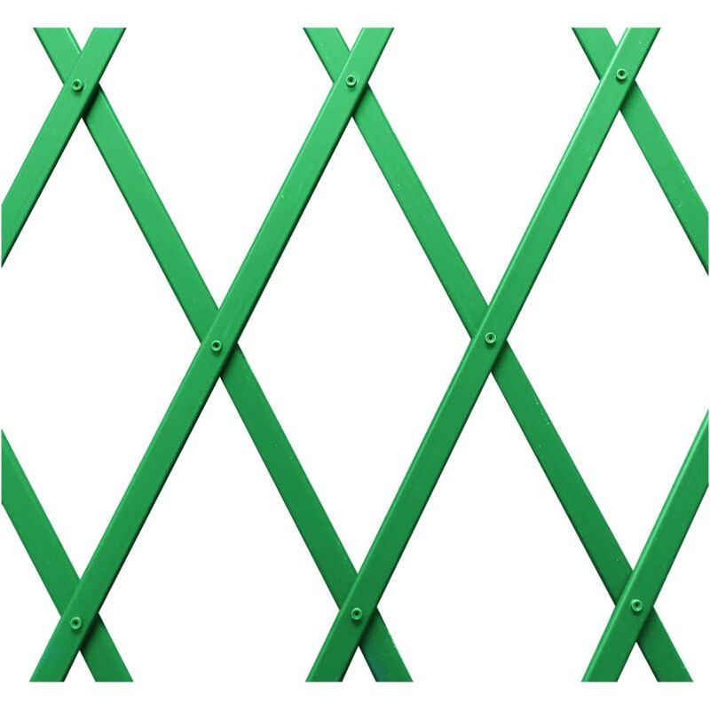 foto del prodotto confine traliccio estensibile in pvc col. verde cm. 300x100