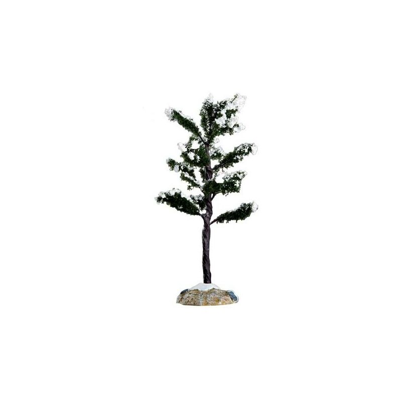 foto del prodotto conifer tree, small cod. 64091
