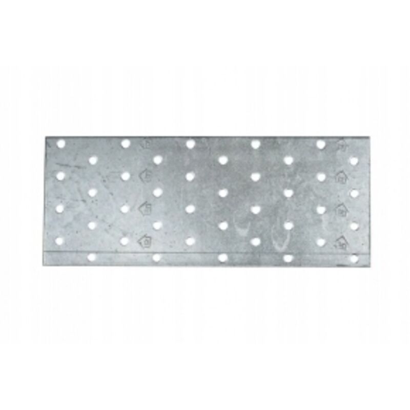 foto del prodotto connettore piatto piastra forata 120x300 pp21