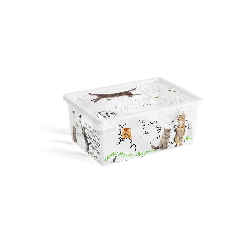 foto del prodotto contenitore c box 37x26xh14cm pets collection