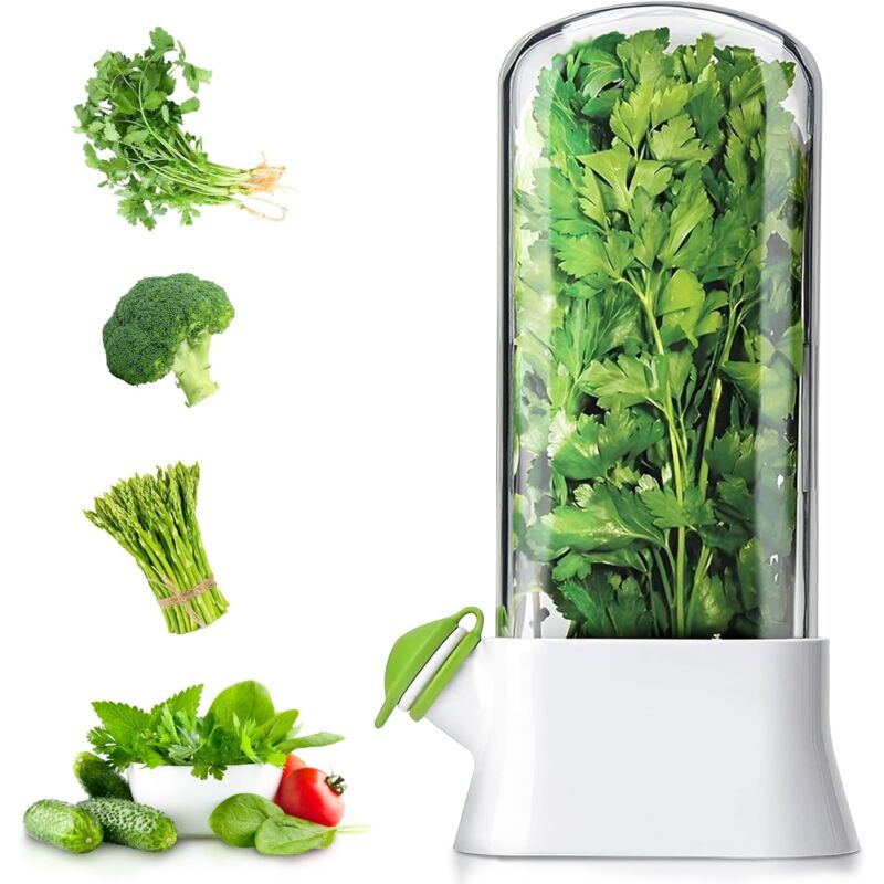 foto del prodotto contenitore per erbe aromatiche da frigorifero, contenitore per erbe aromatiche fresche, contenitore per asparagi e coriandolo, lavabile in