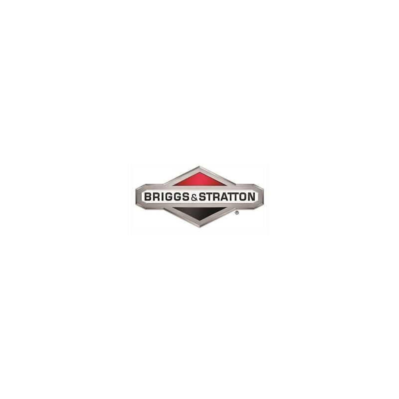 foto del prodotto convogliatore originale briggs stratton 593961
