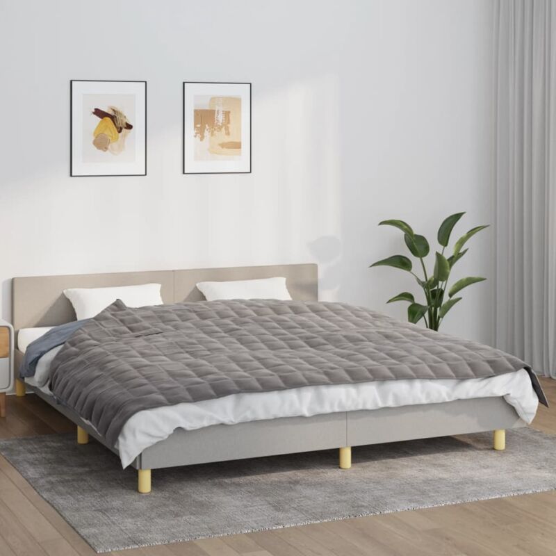 foto del prodotto coperta ponderata grigia 155x220 cm 11 kg tessuto vidaxl