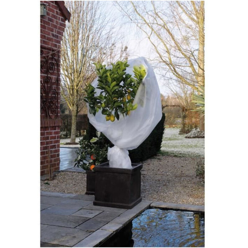 foto del prodotto copertura in pile invernale 30 g/m2 bianco 2x10 m - nature