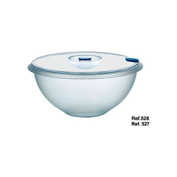 foto del prodotto coppa oasi con coperchio lt 11 cm 38