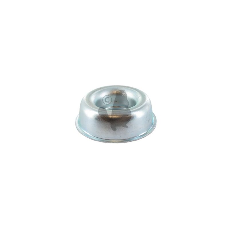 foto del prodotto coppa rif 1600538 compatibile
