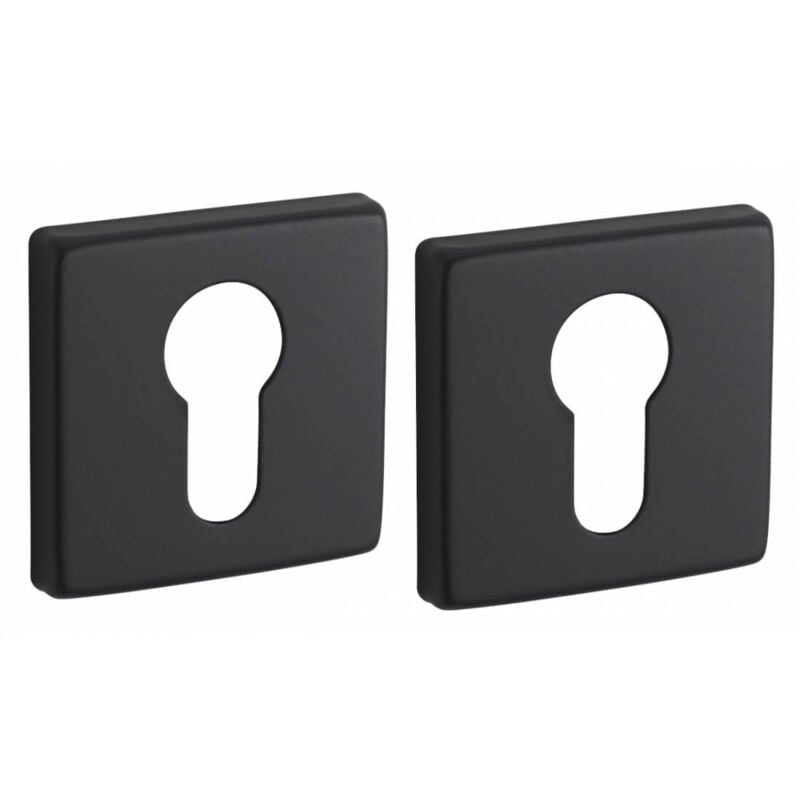 foto del prodotto coppia borchie, rosetta quadrata zibel 50x50 foro per cilindro europeo, nero satinato - thirard