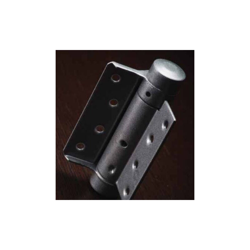 immagine 0 del prodotto coppia di cerniere a molla a semplice effetto n9 proquinter 150 mm 101109