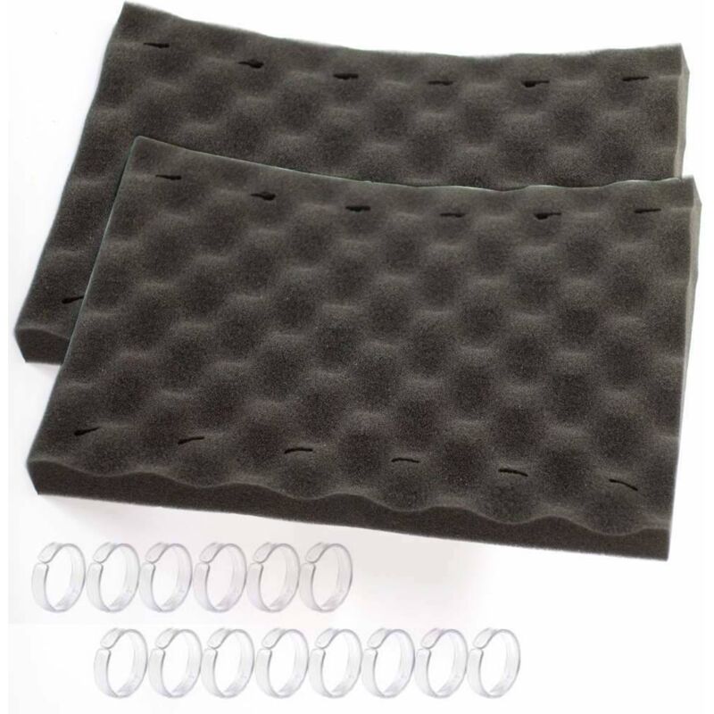 foto del prodotto coppia di spazzole in spugna per robot zodiac cybernaut vecchio modello