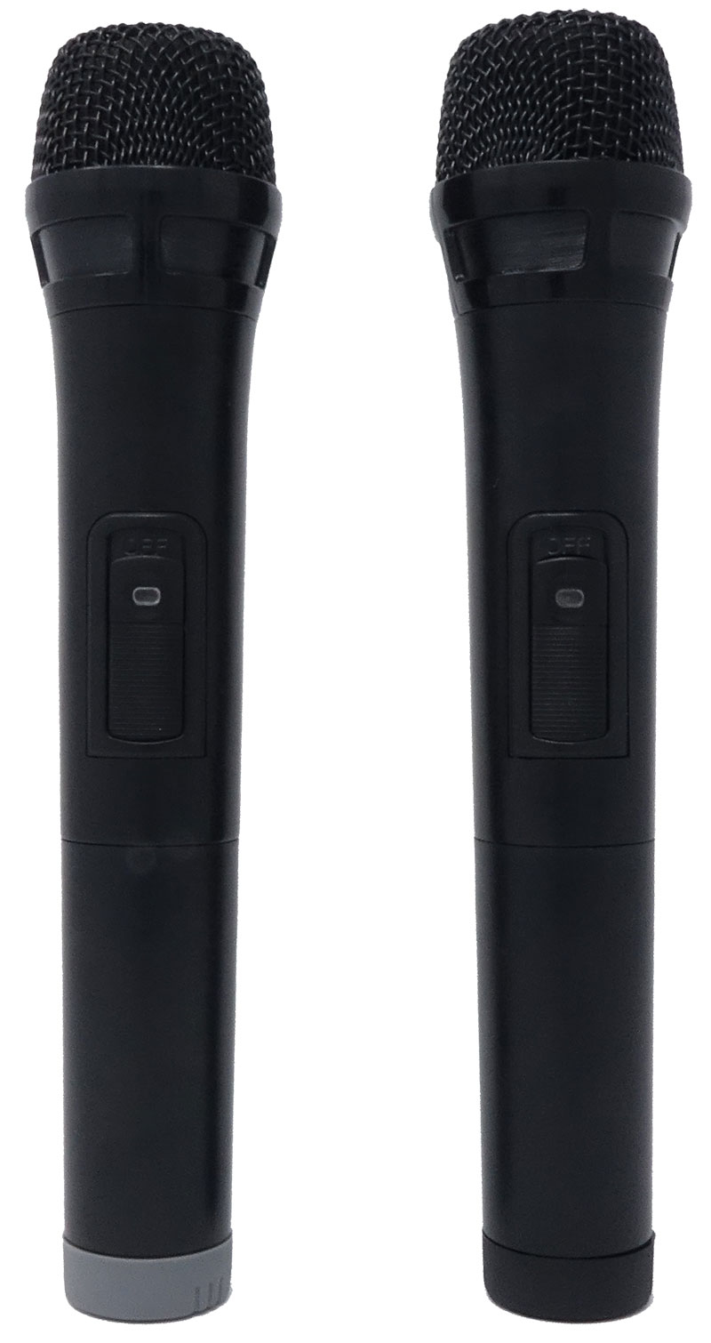 foto del prodotto coppia microfoni wireless con ricevitore uhf