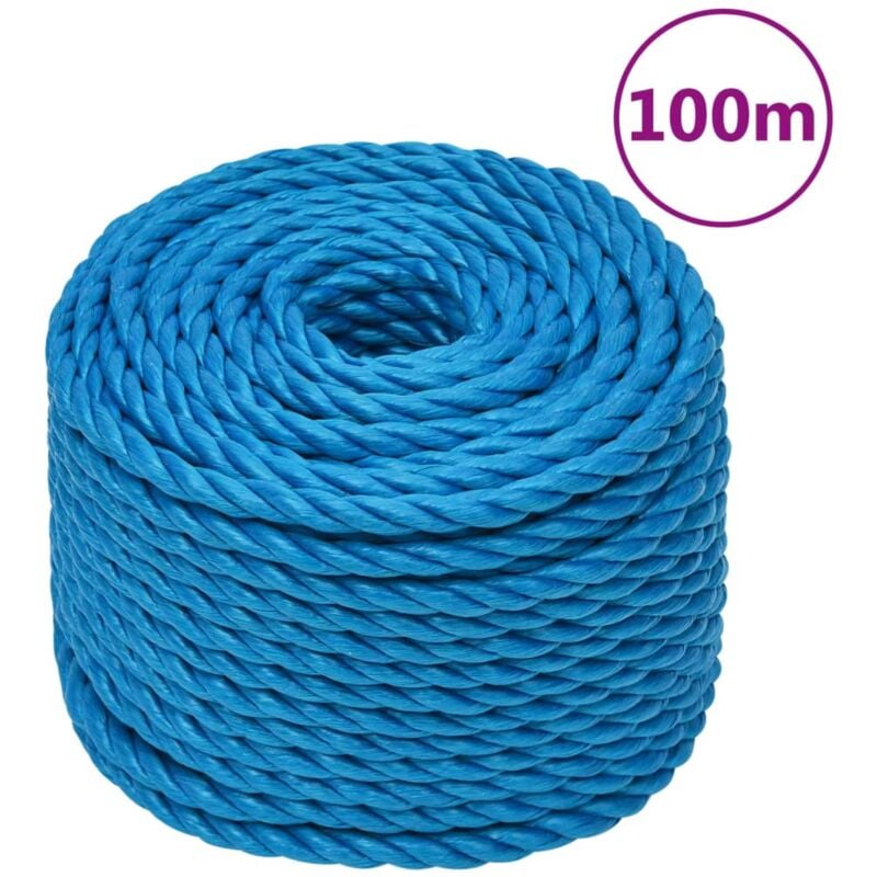 immagine 0 del prodotto corda da lavoro blu 24 mm 100 m in polipropilene vidaxl