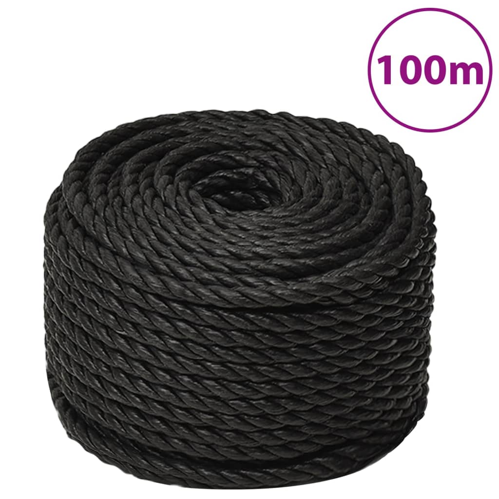 foto del prodotto corda da lavoro nera 10 mm 100 m in polipropilene cod mxl 40559