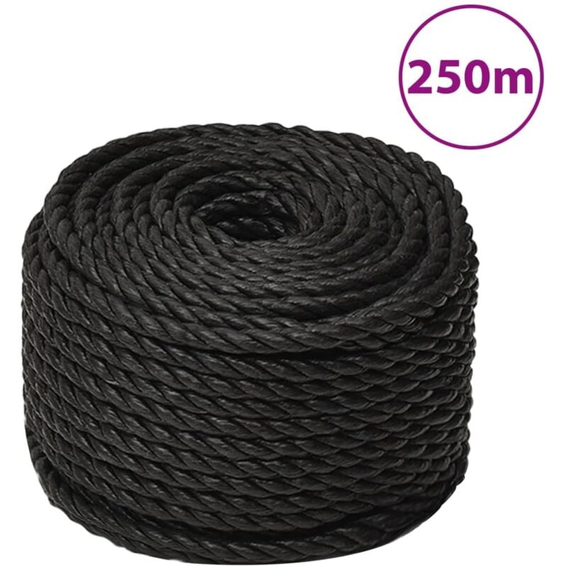 foto del prodotto corda da lavoro nera 10 mm 250 m in polipropilene vidaxl
