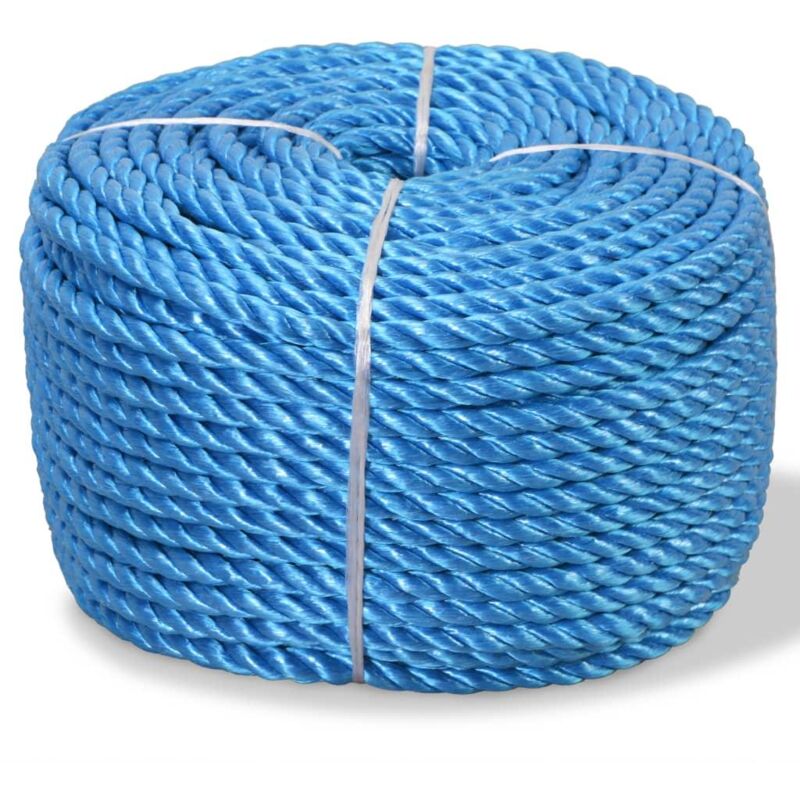 immagine 0 del prodotto corda intrecciata in polipropilene 12 mm 500 m blu