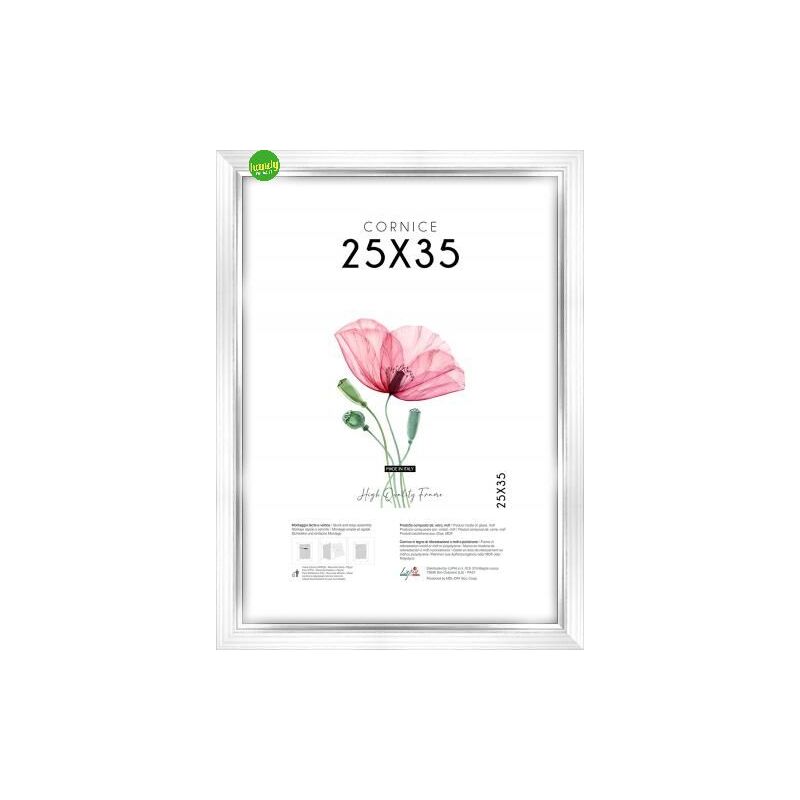 foto del prodotto cornice lupia white silver 25x35cm