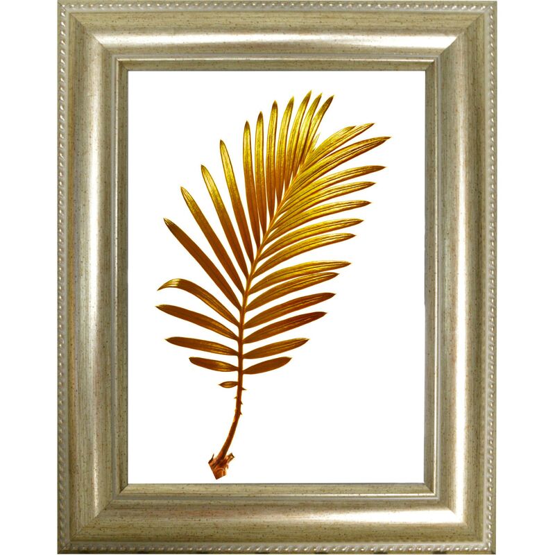 foto del prodotto cornice ray 30mm 18x24 argento