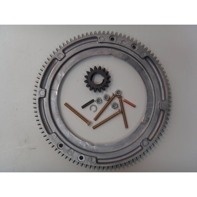 foto del prodotto corona dentata volano motorino avviamento trattorino rasaerba briggs stratton