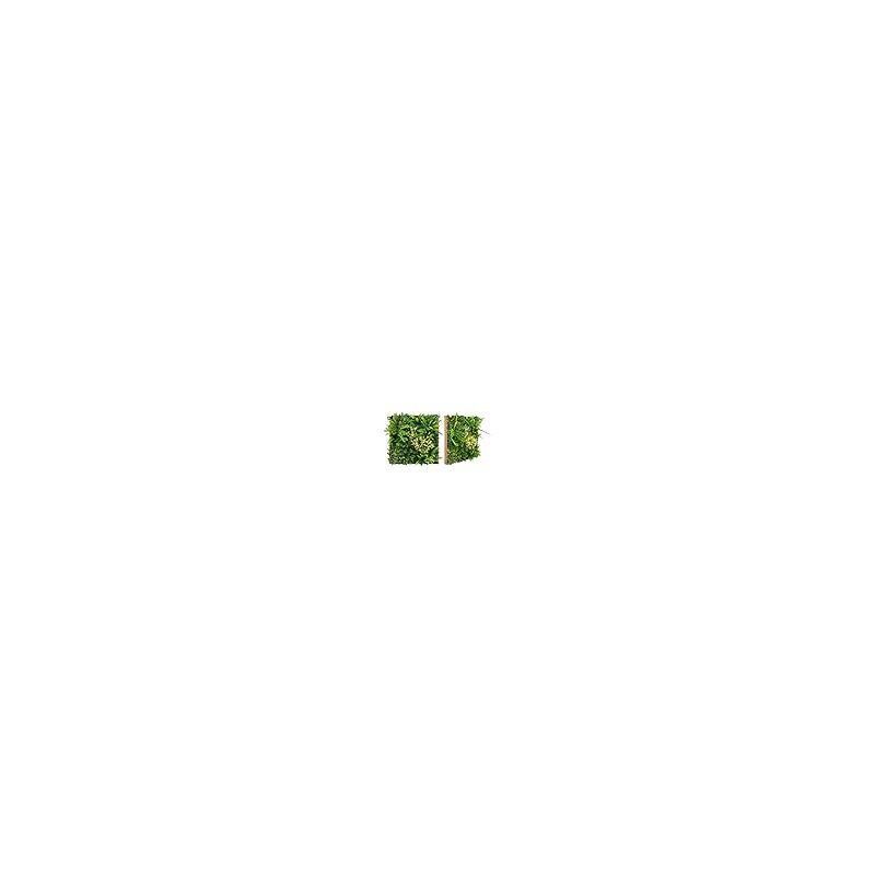 foto del prodotto costway pannelli da parete per piante artificiali 50 x 50 cm, 2 pezzi finti piatti per piante con foglie da interno ed esterno, decorazioni da