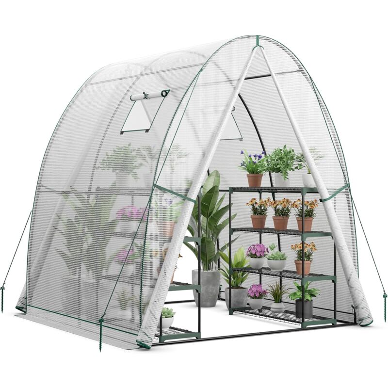 foto del prodotto costway serra da giardino 181 x 181 x 200 cm, serra a tunnel da esterno con 2 porte con zip, 2 finestre, copertura in pe impermeabile e tasche