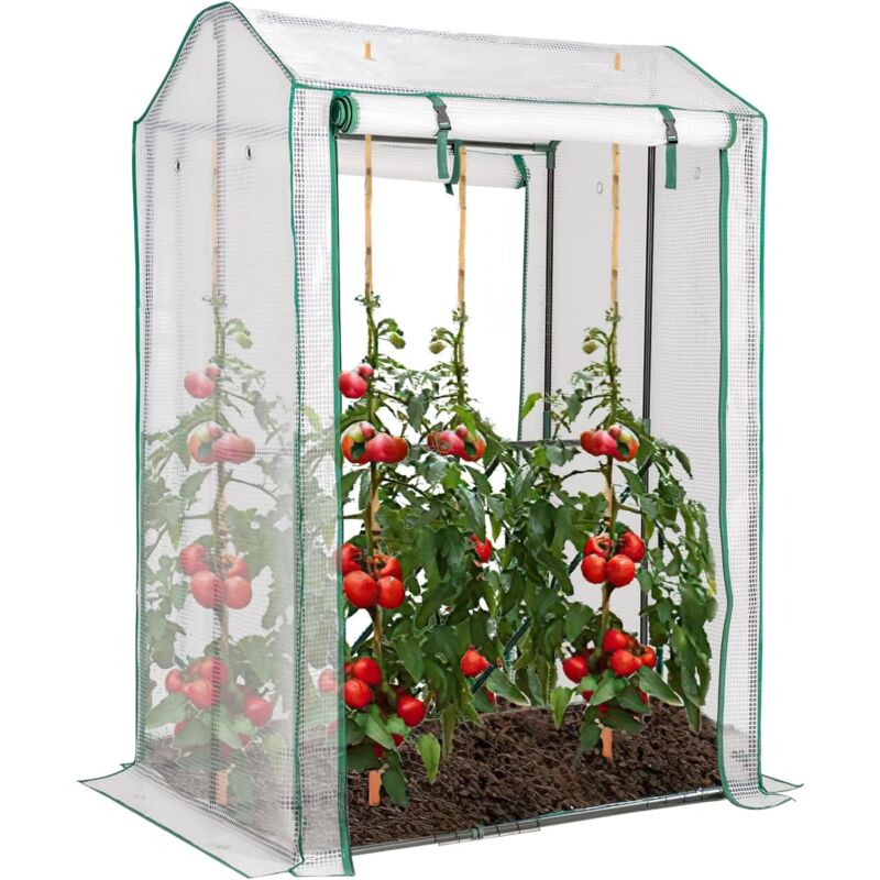 foto del prodotto costway serra da giardino robusta, mini serra per orto e piante con telaio in acciaio, 2 porte a cerniera arrotolabili, telo in pe, serra da eterno