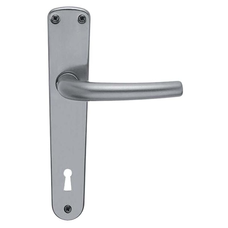 foto del prodotto cottali maniglia su placca 90 mm omega all.argento