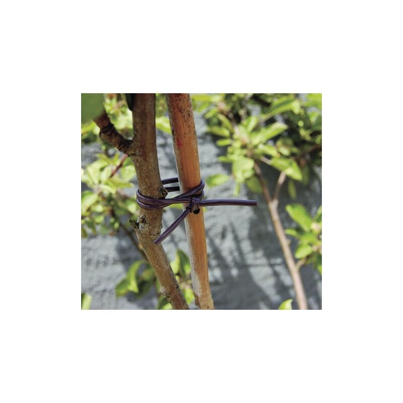 foto del prodotto cravatta elastica tubolare marrone 40m 2,5mm nortene