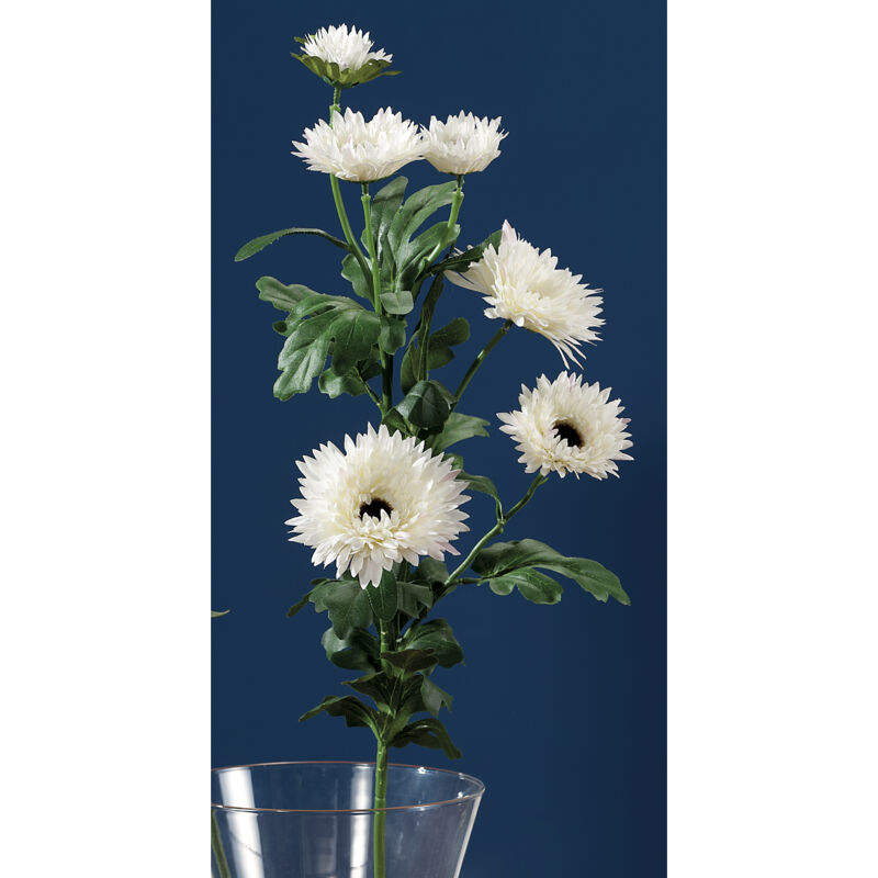 foto del prodotto crisantemo bianco 6fiori x dec cm86