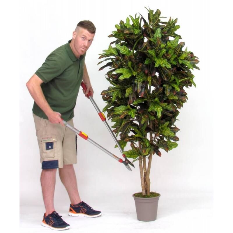 foto del prodotto croton luxe seminaturale • multicolor • h. da 100 a 300 cm - 175