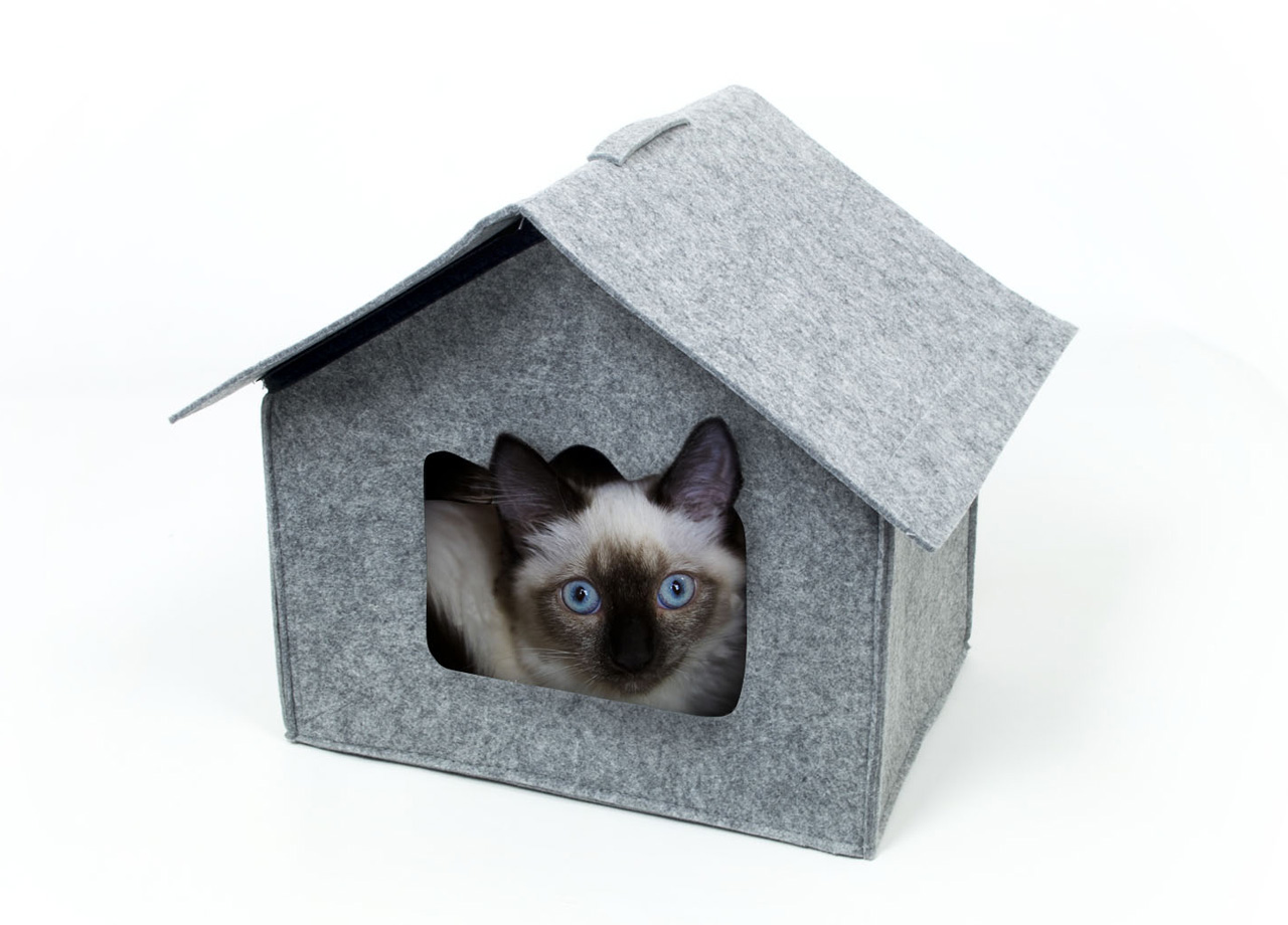foto del prodotto cuccia con cuscino per animali domestici modello casa dolce casa