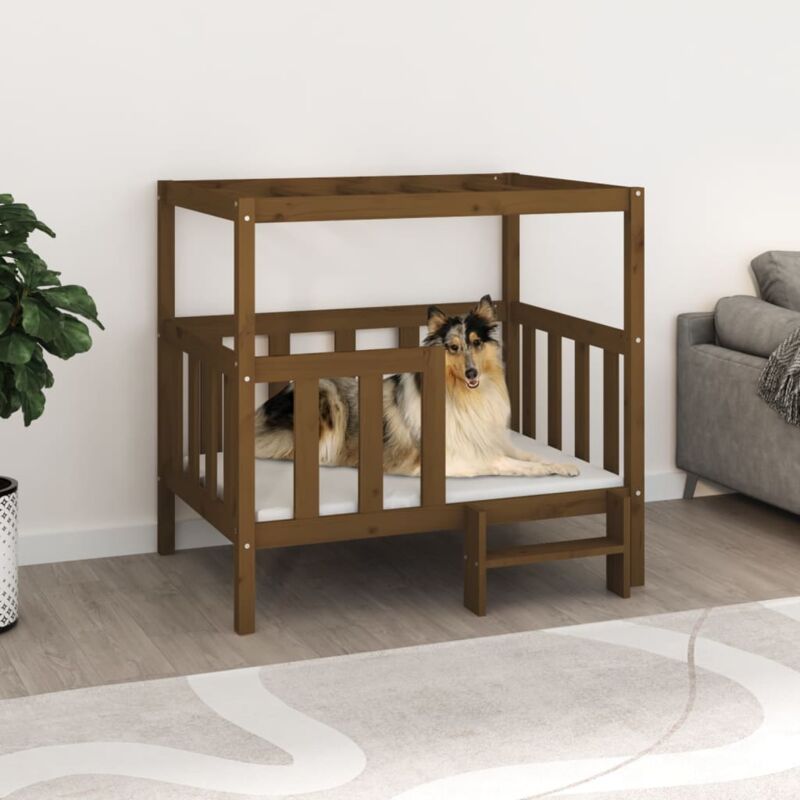 foto del prodotto cuccia per cani ambra 105,5x83,5x100 cm legno massello di pino vidaxl