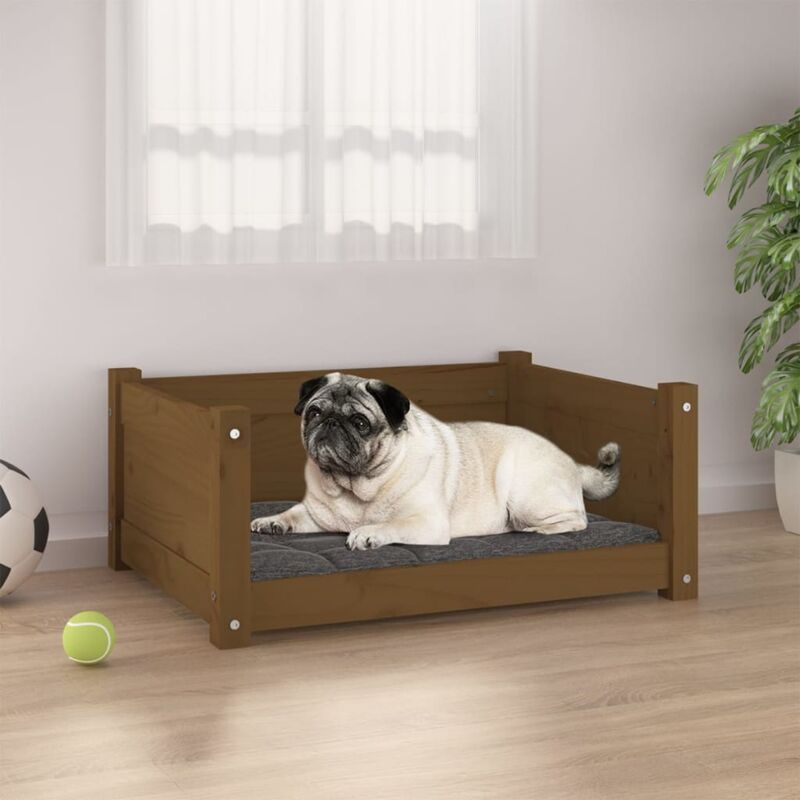 foto del prodotto cuccia per cani ambra 65,5x50,5x28cm in legno massello di pino vidaxl