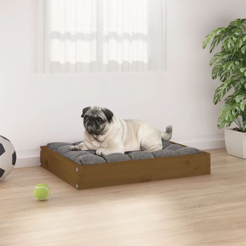 foto del prodotto cuccia per cani ambrata 61,5x49x9 cm in legno massello di pino vidaxl