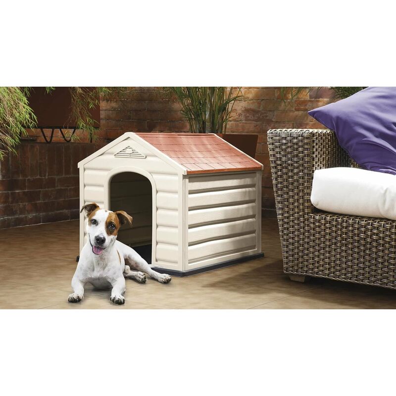 foto del prodotto cuccia per cani taglia media in resina 60x68x58 cm puppy