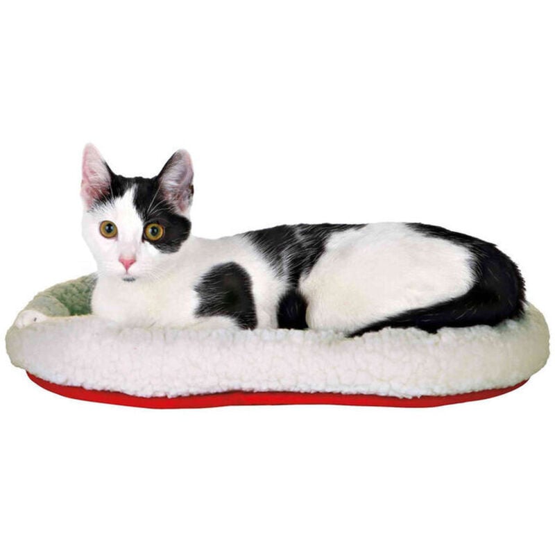 foto del prodotto cuccia reversibile 47x38cm colore bianco-lana rosso