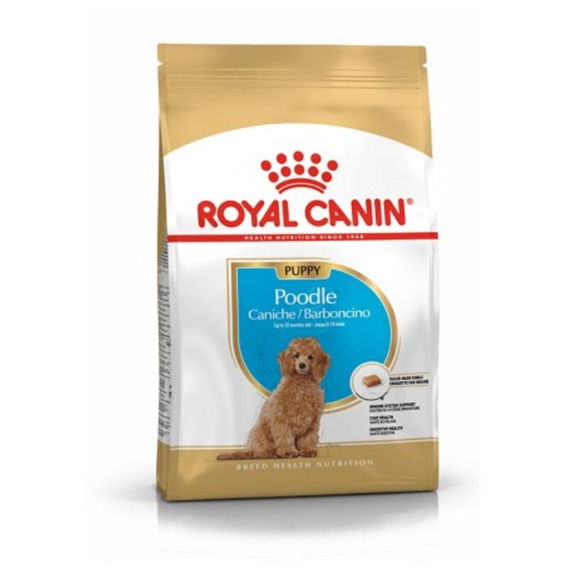 foto del prodotto cucciolo di barboncino canino reale 3 kg